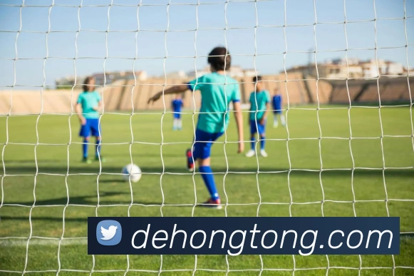 平台展示图